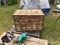 Click to view classifieds LFTORPNH