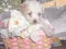Click to view classifieds OJDWVFSN