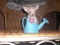 Click to view classifieds RMPFNVKR