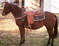 Click to view classifieds KMNHQNYG