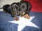 Click to view classifieds BTFTPKWH