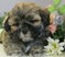 Click to view classifieds ZOOGETGE