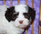 Click to view classifieds KZOZXCKH