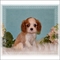 Click to view classifieds ECYWMLNW