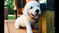 Click to view classifieds JPXZCUEF