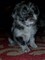 Click to view classifieds RSTFTEWE