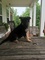 Click to view classifieds BXPVKFYB