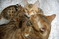 Click to view classifieds TJCCZLRK