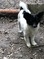 Click to view classifieds XDSXHNWW