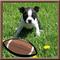 Click to view classifieds BYZAEBCP