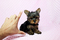 Click to view classifieds LFKNLNWJ