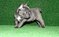 Click to view classifieds RTVNPGZR