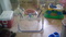 Click to view classifieds ZPVMRCCM
