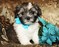 Click to view classifieds ESECJHMH