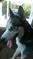 Click to view classifieds XWEXQMGF