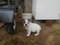 Click to view classifieds CHSGCTQA