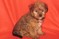 Click to view classifieds UOXDYTRL