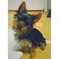 Click to view classifieds LHHSQRBQ