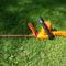 Click to view classifieds NZRAPYDQ