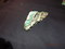 Click to view classifieds CGDHJSXZ
