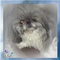 Click to view classifieds VZAAAFKQ