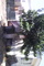 Click to view classifieds EZJPTMGP