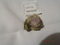 Click to view classifieds ASUCKGNY