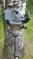 Click to view classifieds XWLOXSHY