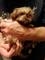 Click to view classifieds AFREUPWT