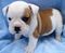 Click to view classifieds JWDKOSRX