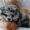 Click to view classifieds FKVGQQHH