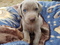 Click to view classifieds SGUOBELZ