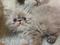 Click to view classifieds LXPNMWDE