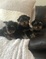 Click to view classifieds TPWGEPEQ