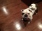 Click to view classifieds CWFZZBVO