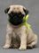 Click to view classifieds PDPXXERE