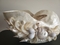 Click to view classifieds VBYHEQYH