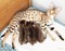 Click to view classifieds TAJDDCXW