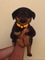 Click to view classifieds FQVGAQEU