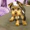 Click to view classifieds PKSZPNJU