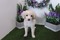 Click to view classifieds VBBRAYXY