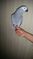 Click to view classifieds HUCOYLFU