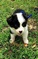 Click to view classifieds TMYHPANN