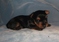 Click to view classifieds XEVWTFAE