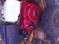 Click to view classifieds HKHPDHDT