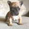 Click to view classifieds SEOCMGQG