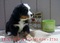 Click to view classifieds KPEADFJV