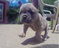 Click to view classifieds MBCLUBTB