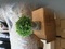 Click to view classifieds PVQKXGTK