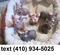 Click to view classifieds XROCNCAT